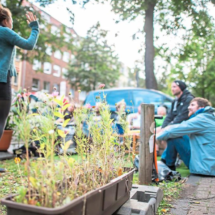 PARKingDay2 Foto Guido Kirchner